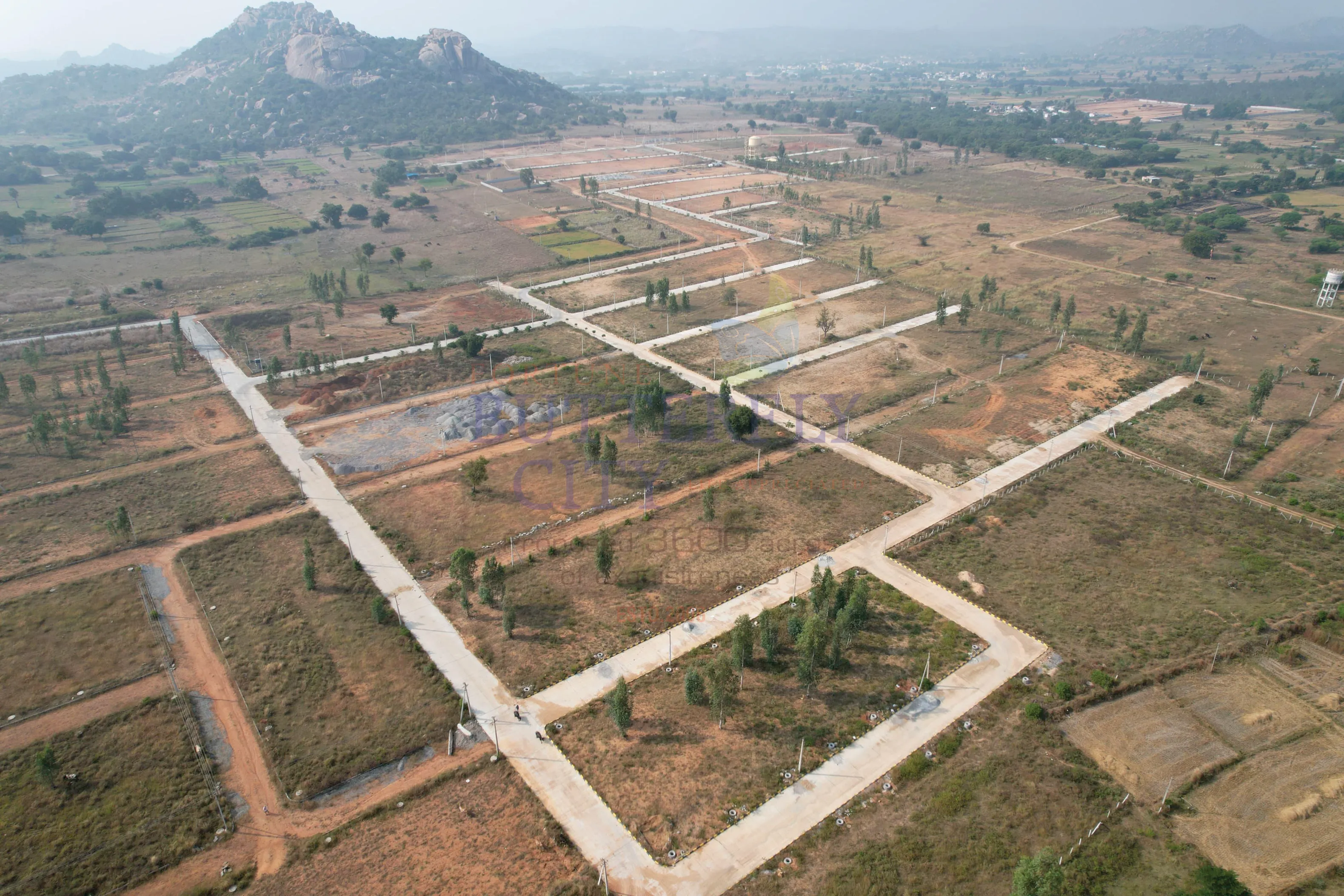 Fortune Proffessional paradise